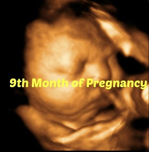 9th month of pregnancy