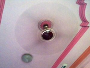 Babies stare at ceiling fans