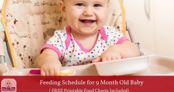 9 month old feeding schedule