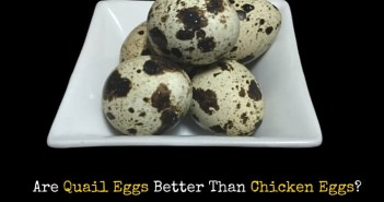 quail eggs over chicken eggs