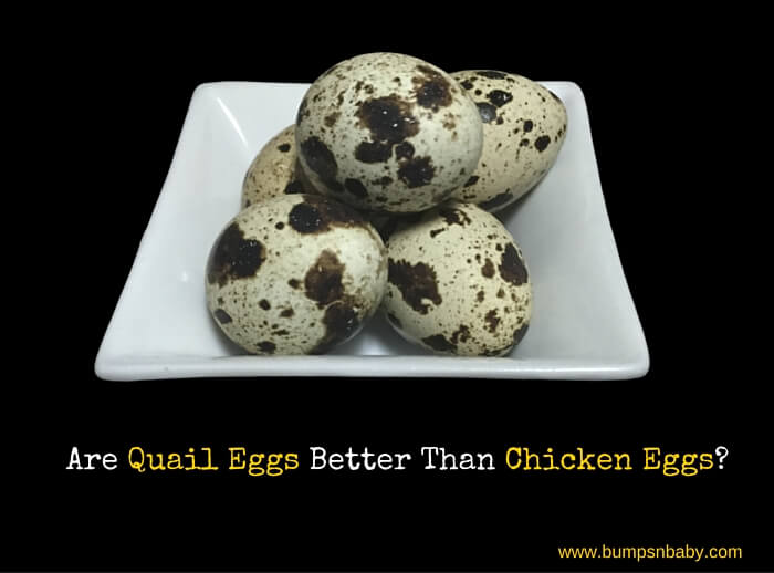 quail eggs over chicken eggs