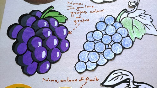 colored fruits