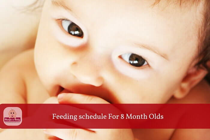 feeding schedule for 8 month old baby