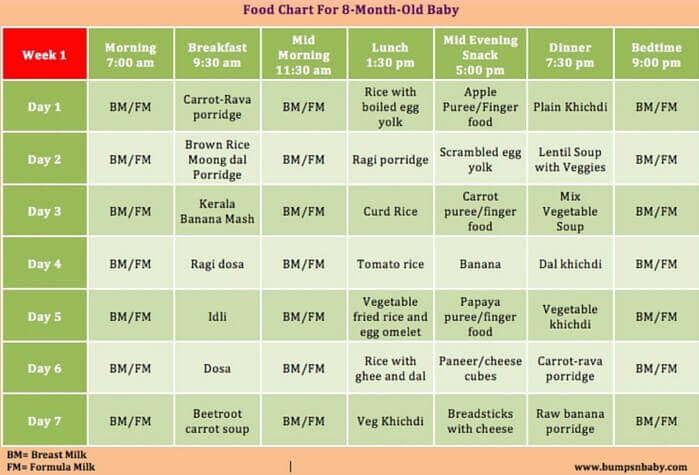 feeding schedule for 8 month old