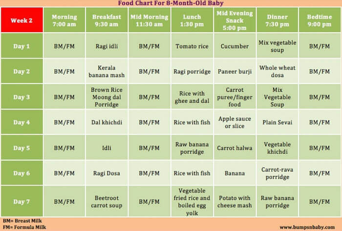 feeding schedule for 8 month old