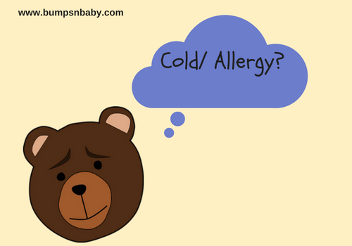 difference between cold and allergy