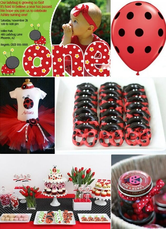 lady bug birthday party themes for girls