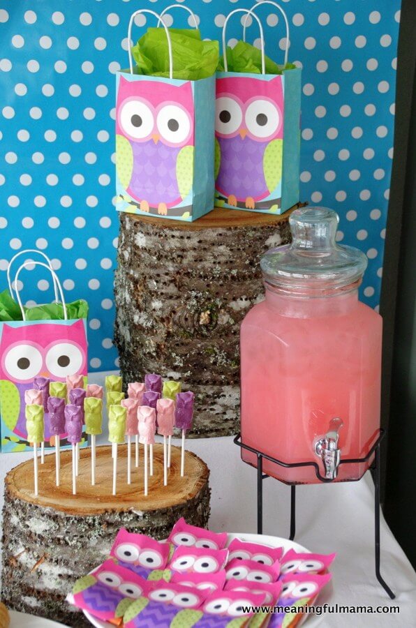 owls birthday party themes for girls